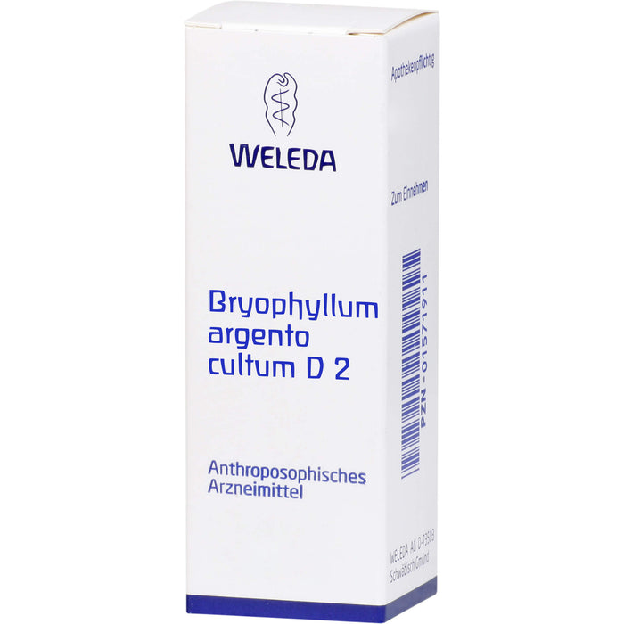 Bryophyllum Argento cultum D2 WELEDA Dil., 50 ml Solution
