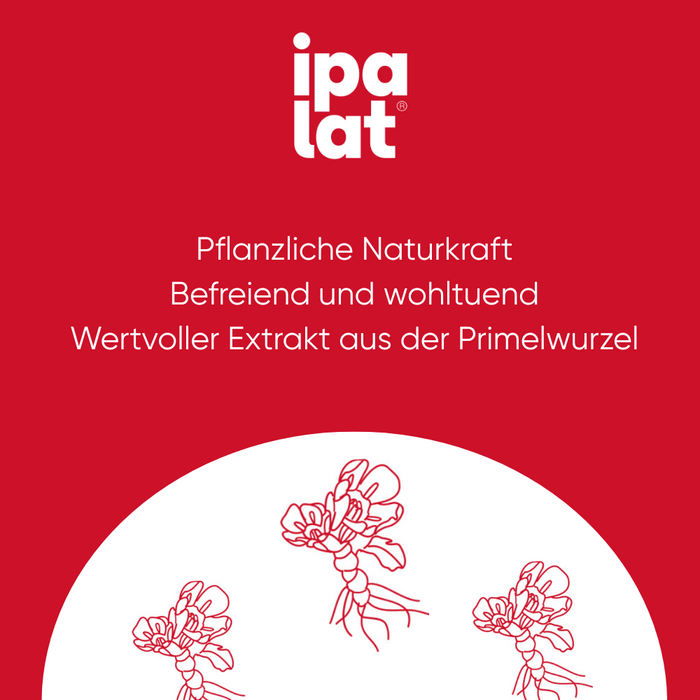 ipalat Die Halspastille Honigmild, 40 St. Pastillen