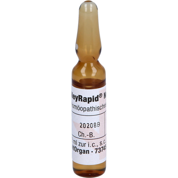 NeyRapid Nr. 11 D7 Ampullen, 5 ml Lösung