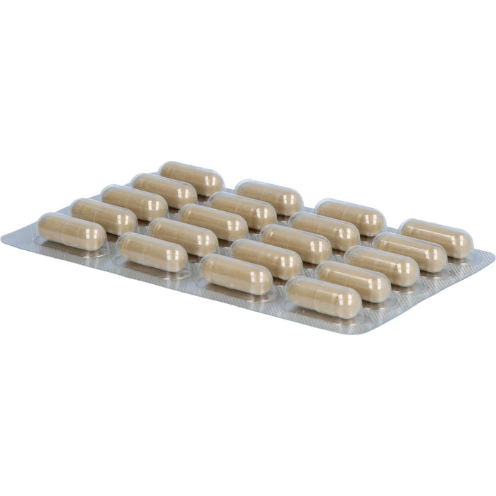 Luvos Heilerde extrafein akut säurebedingte Magenbeschwerden Kapseln, 60 pcs. Capsules