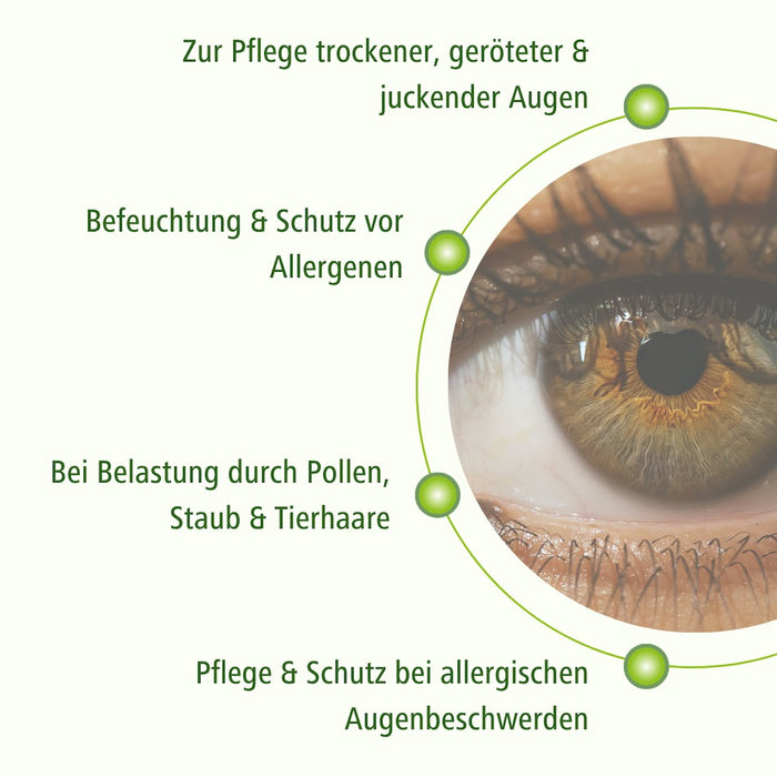 DR. THEISS Hydro med Green Augentropfen mit Ectoin zur Befeuchtung, 20 pcs. Single-dose pipettes