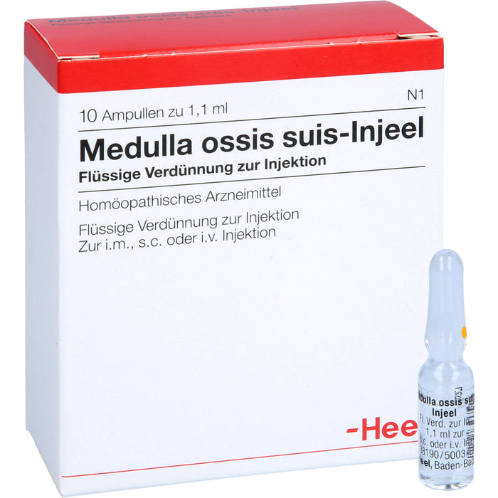 Medulla ossis suis-Injeel Inj.-Lsg., 10 pcs. Ampoules