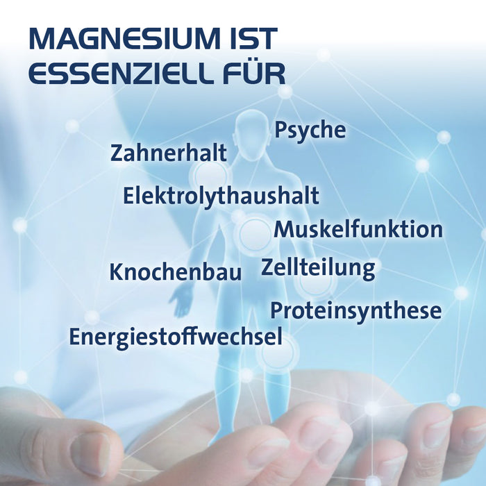 Magnesium Hevert Organic 7 Kapseln, 120 St. Kapseln