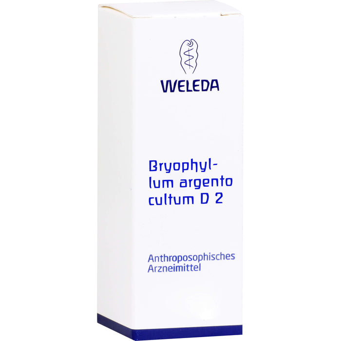 Bryophyllum Argento cultum D2 WELEDA Dil., 50 ml Solution