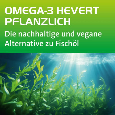 Omega-3 Hevert pflanzlich für eine gesunde Herzfunktion, Gehirnleistung und Sehkraft, 60 St. Kapseln