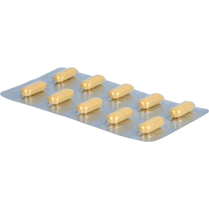 Ginkgo AL 240 mg Filmtabletten, 60 St FTA