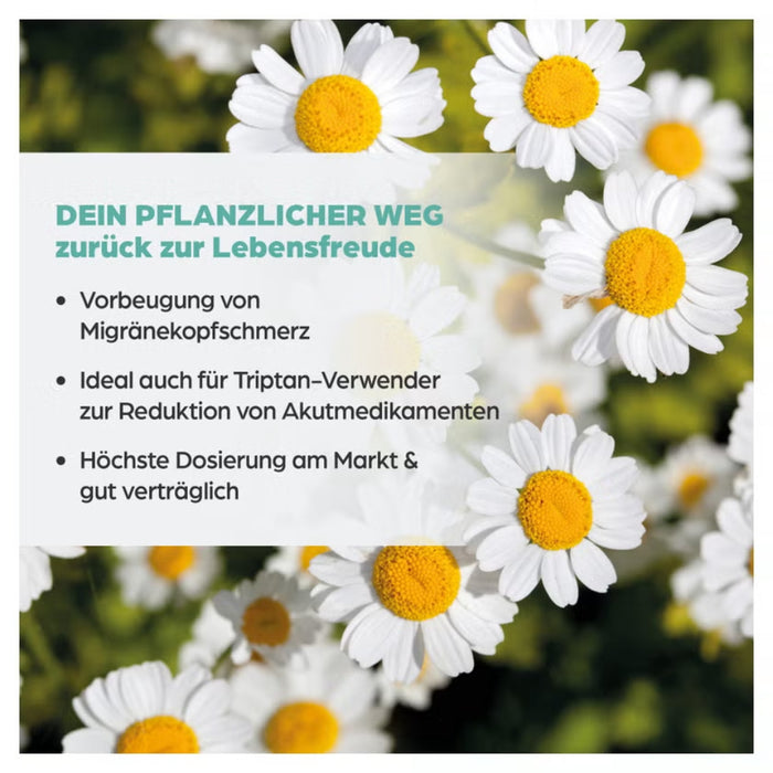 Dr. Böhm Mutterkraut Apomedica 200 mg, 60 pcs. Tablets