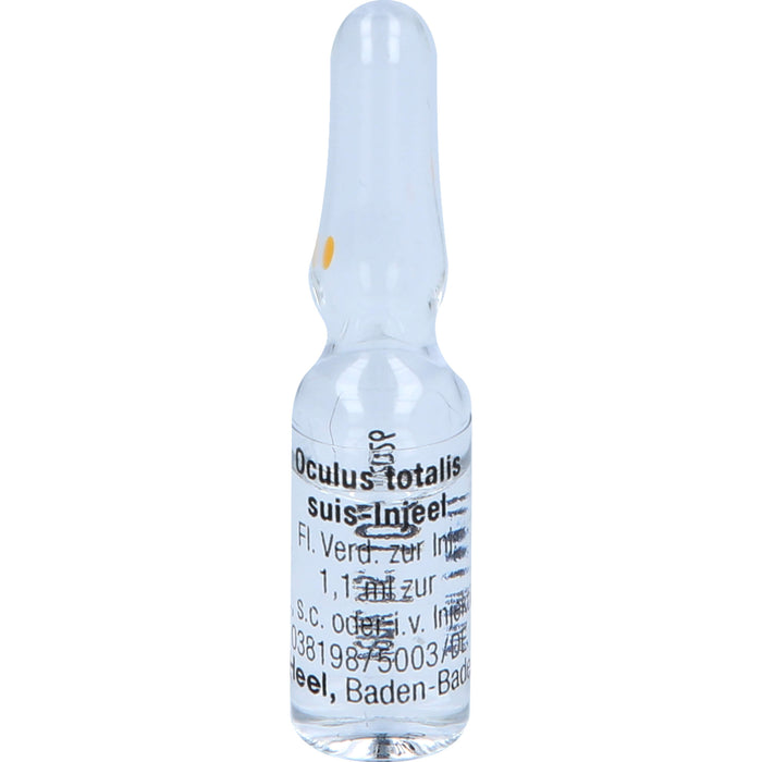 Heel Oculus totalis suis-Injeel flüssige Verdünnung, 10 pc Ampoules