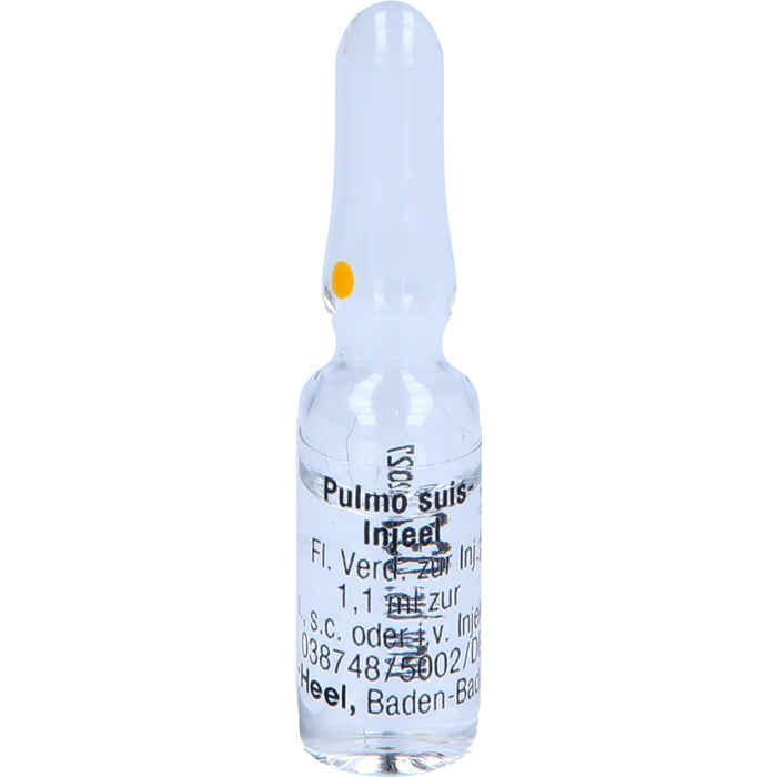 Pulmo suis-Injeel Inj.-Lsg., 10 pcs. Ampoules