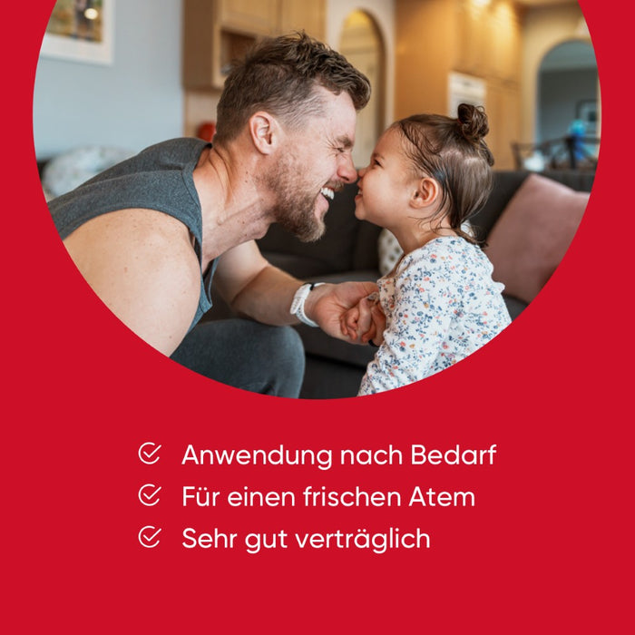 ipalat Die Halspastille Zuckerfrei, 40 St. Pastillen