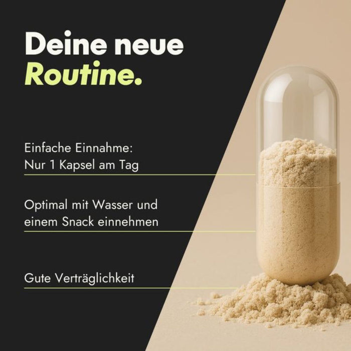 Serotalin Active Brain Performance Kapseln für Energie und Nervensystem, 60 pc Capsules