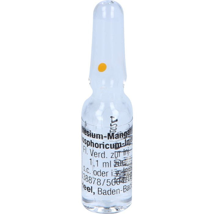 Magnesium Manganum phosphoricum Injeel Amp., 10 pc Ampoules