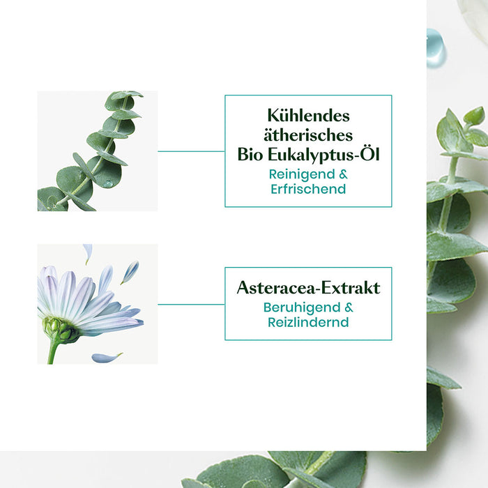 René Furterer ASTERA HEAD SPA Beruhigendes Konzentrat, 50 ml Concentrate