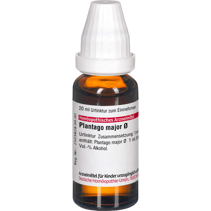 Plantago major DHU Urtinktur, 20 ml Solution