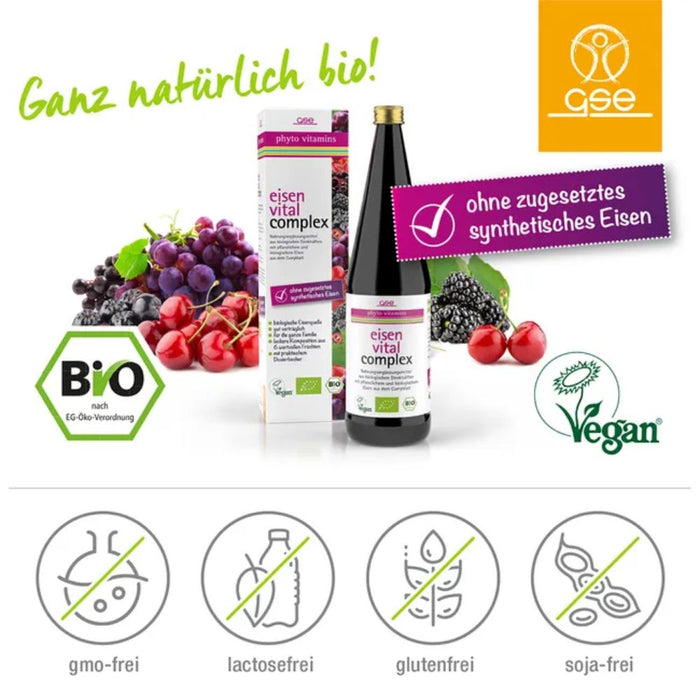 GSE Phyto Vitamins Eisen Vital Complex Lösung Bio, 330 ml Solution