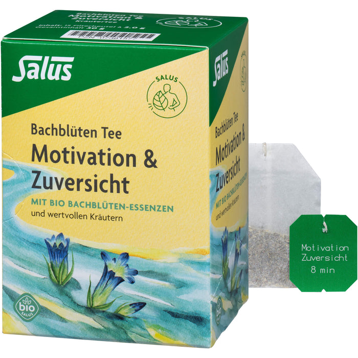 Salus Bachblüten Tee Motivation & Zuversicht bio, 15 pcs. Filter bag