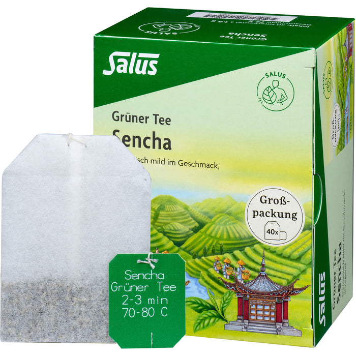 Grüner Tee Grosspackung bio Salus, 40 St FBE