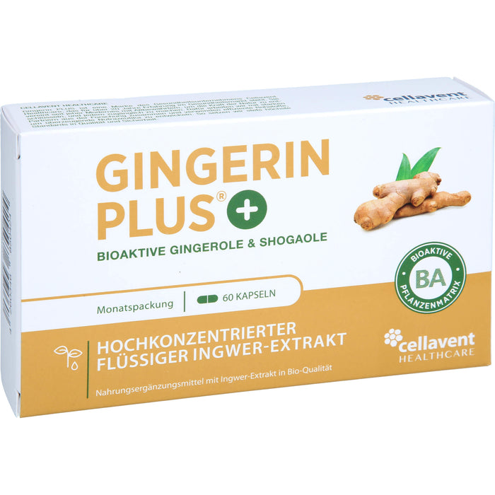 Gingerin Plus hochkonzentriertes flüssiges Ingwer-Extrakt Kapseln, 60 pc Capsules
