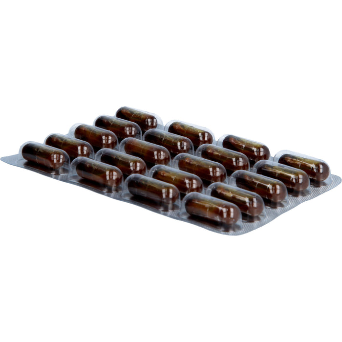Gingerin Plus hochkonzentriertes flüssiges Ingwer-Extrakt Kapseln, 60 pc Capsules