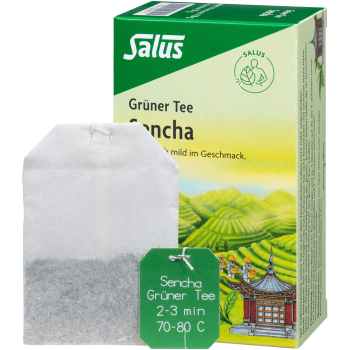 Salus Grüner Tee Sencha, 15 pcs. Filter bag