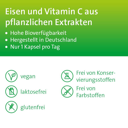 Eisen + C Hevert pflanzlich mit natürlichem Eisen und Vitamin C, 60 St. Kapseln