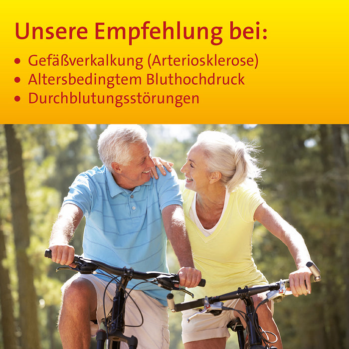 Ginkgo biloba comp. Hevert bei Gefäßverkalkung, 100 ml Solution