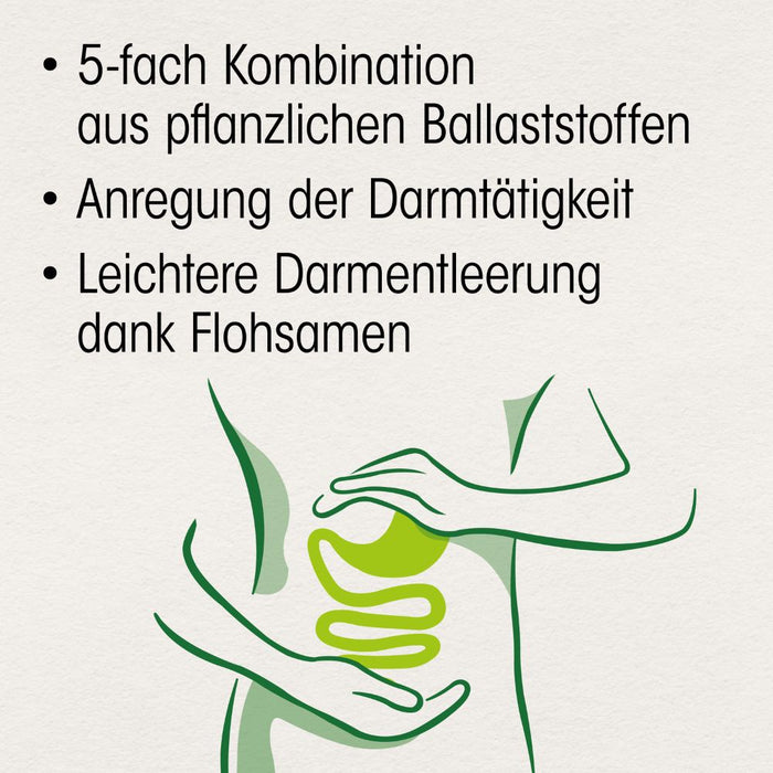Dr. Böhm Darm aktiv, 6 pc Sachets