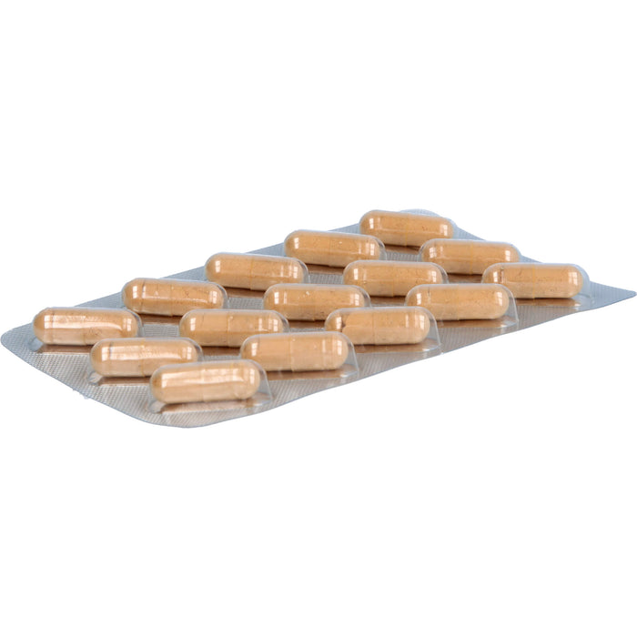 Immuno MensSana , 90 pcs. Capsules