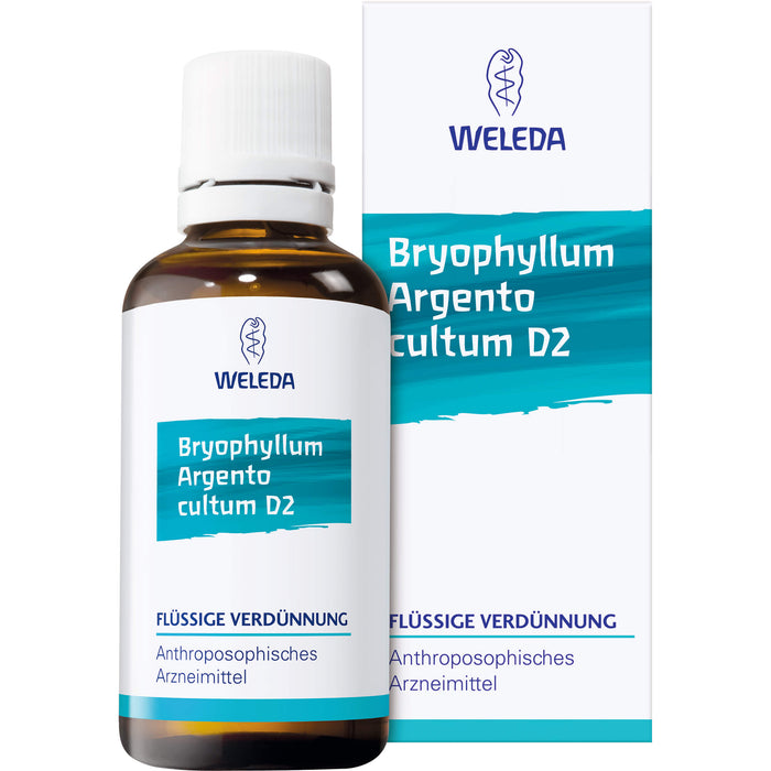 Bryophyllum Argento cultum Rh D3 WELEDA Dil., 20 ml Solution