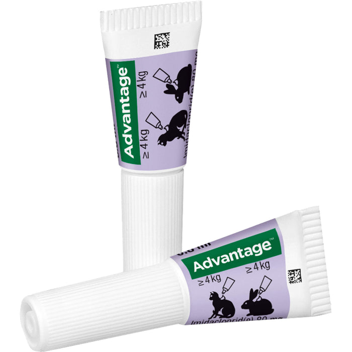 Advantage 80 mg für Katzen und Zierkaninchen über 4 kg Lösung, 3.2 ml Solution
