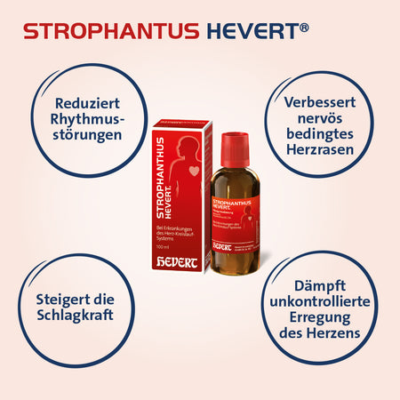 Strophanthus Hevert, 30 ml Tropfen