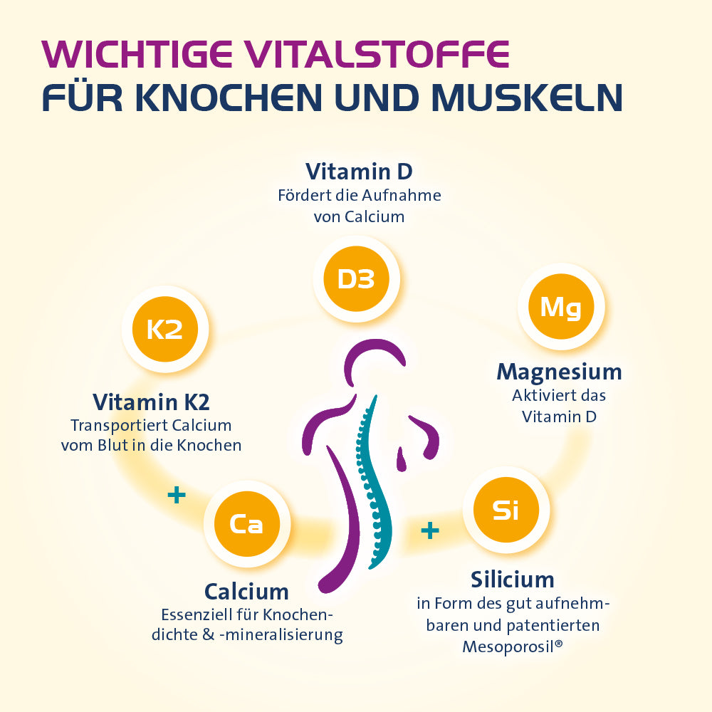 Vitamin D3 Hevert Osteo Pro für gesunde Knochen und Muskeln, 60 St. Tabletten