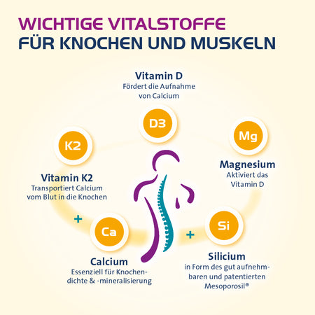 Vitamin D3 Hevert Osteo Pro für gesunde Knochen und Muskeln, 60 St. Tabletten