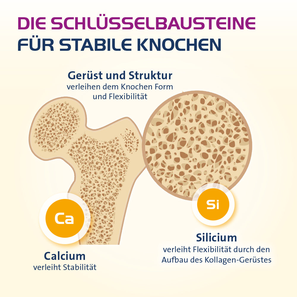 Vitamin D3 Hevert Osteo Pro für gesunde Knochen und Muskeln, 60 St. Tabletten