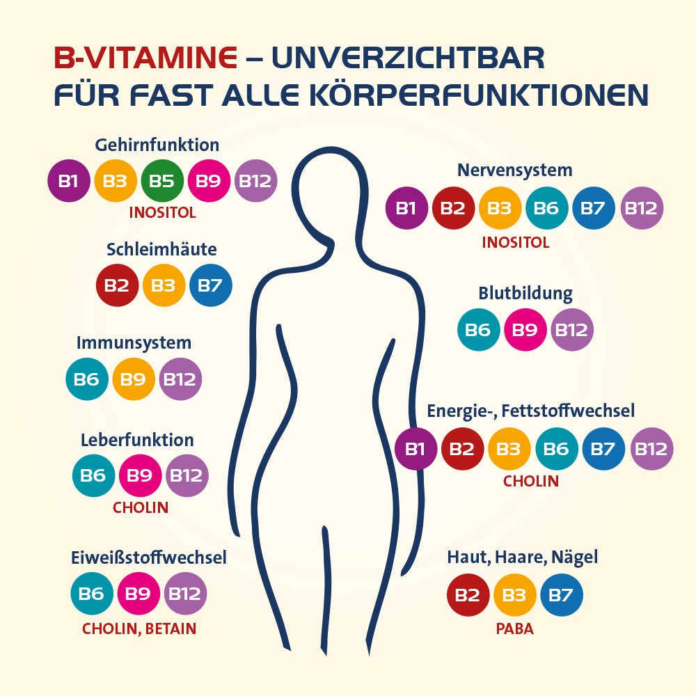 Vitamin B Complete Hevert All-in-One mit allen 8 Vitaminen des B-Komplexes und 4 bioaktiven Vitaminoiden, 60 St. Kapseln