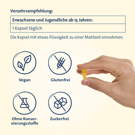 Vitamin B Complete Hevert All-in-One mit allen 8 Vitaminen des B-Komplexes und 4 bioaktiven Vitaminoiden, 60 St. Kapseln