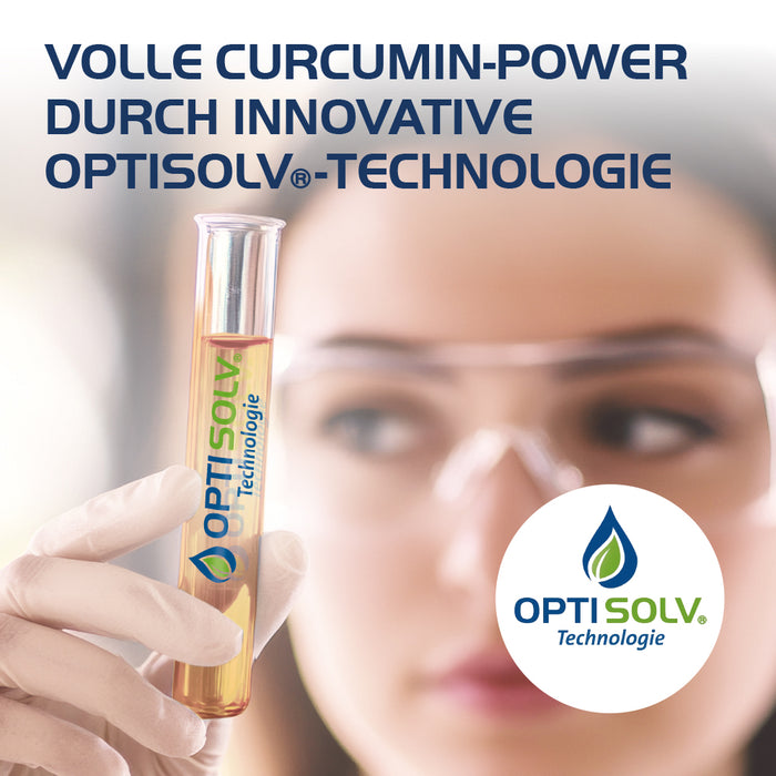 Curcumin Hevert OptiSolv Tabletten, 60 St. Tabletten