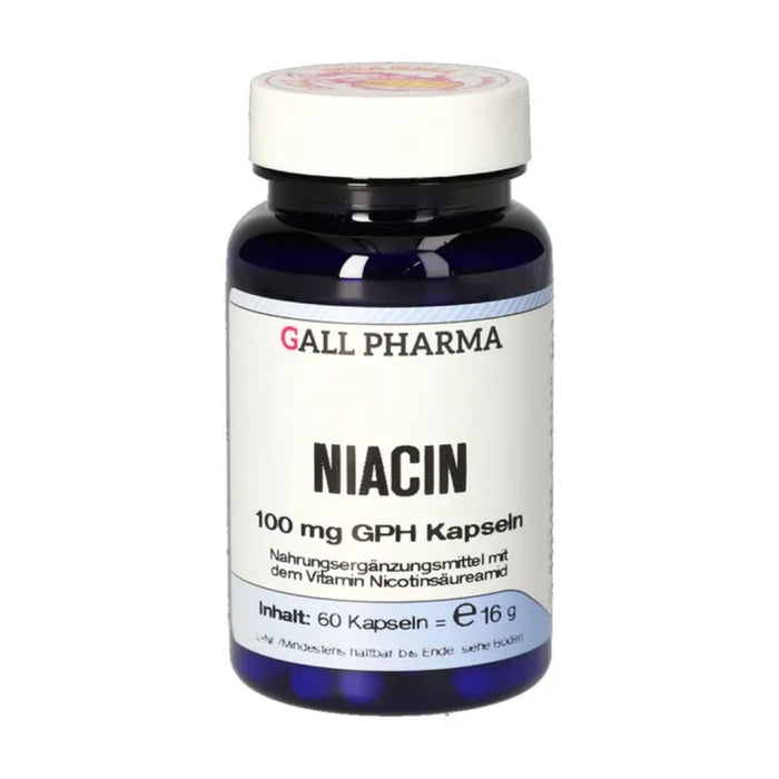 GALL PHARMA Niacin 100 mg GPH Kapseln, 120 St. Kapseln