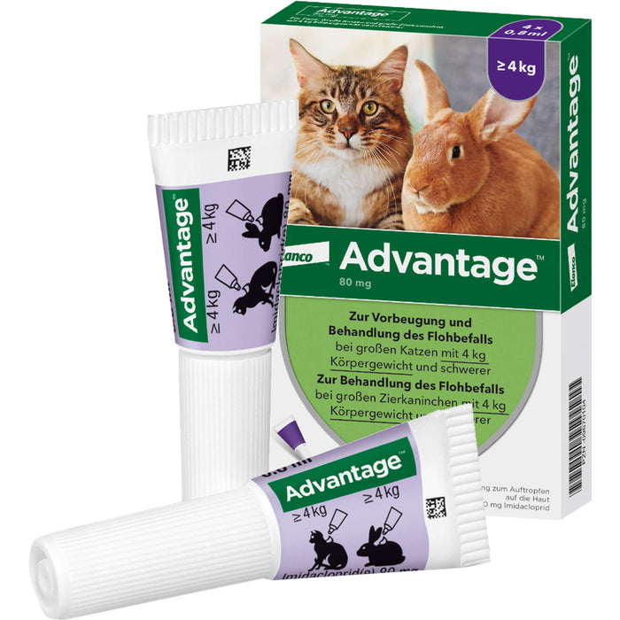 Advantage 80 mg für Katzen und Zierkaninchen über 4 kg Lösung, 3.2 ml Solution