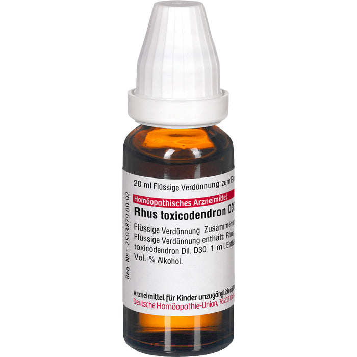 DHU Rhus toxicodendron D30 Dilution, 20 ml Solution