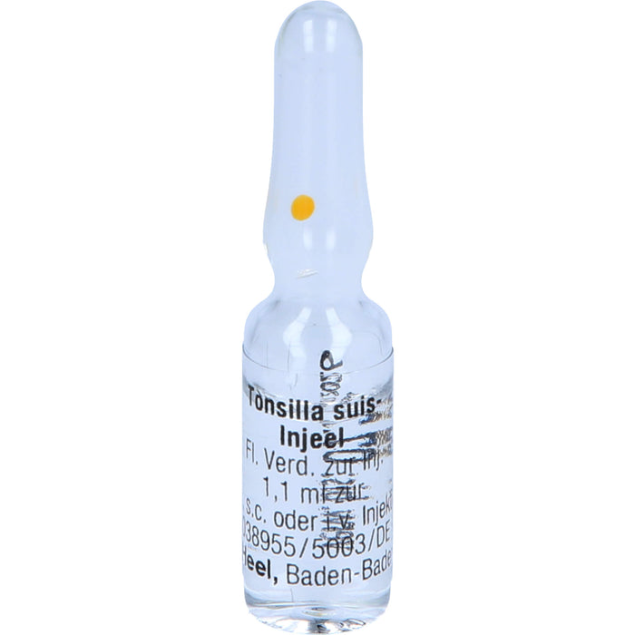 Tonsilla Suis-Injeel flüssige Verdünnung, 10 pcs. Ampoules