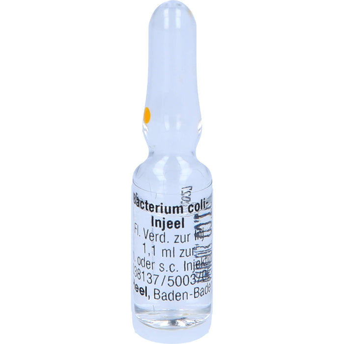 Bacterium coli-Injeel Inj.-Lsg., 10 pcs. Ampoules