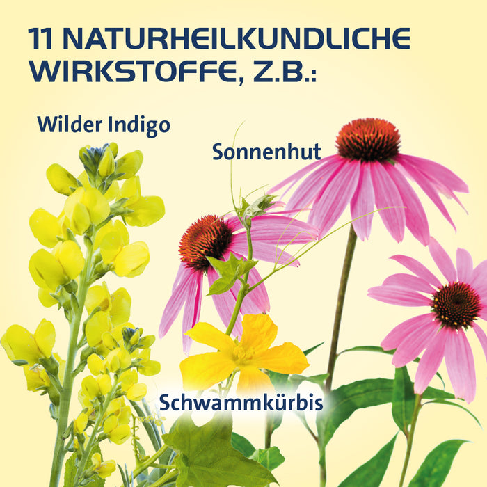 Sinusitis Hevert, 100 pc Tablettes