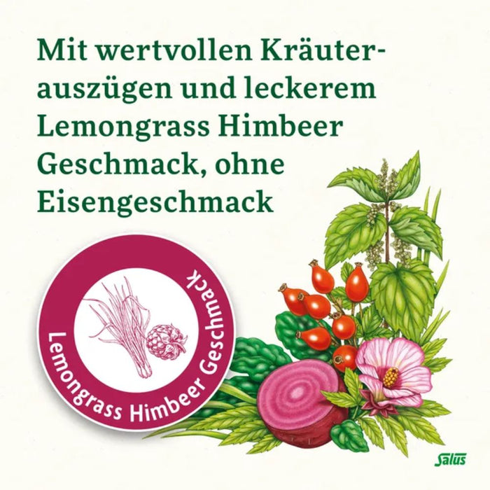 Floradix Eisen Sticks für die schnelle Eisenversorgung mit Lemongrass Himbeer Geschmack, 20 pc Bâtonnets
