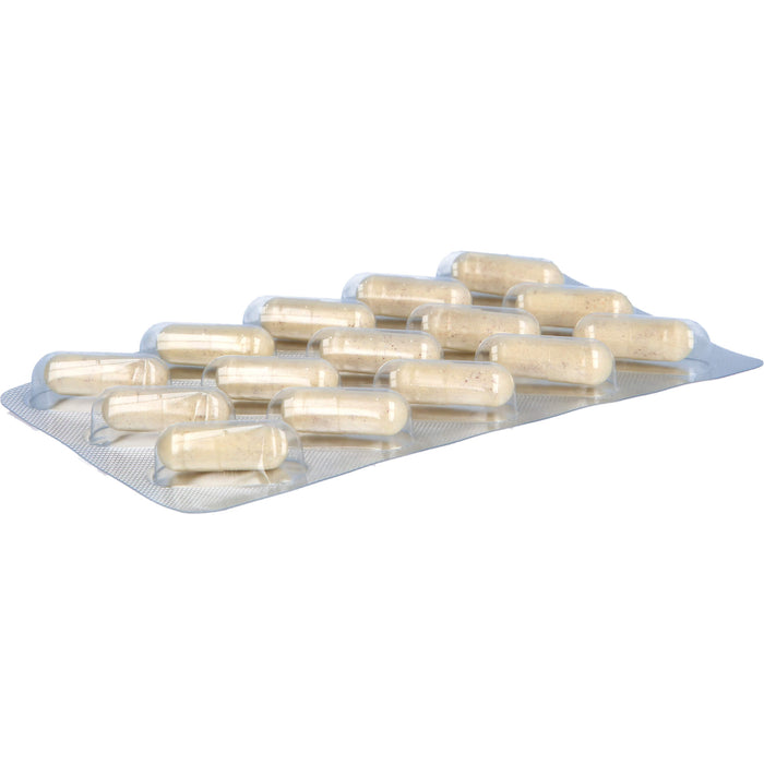 MensSana Multifit Kapseln, 90 pc Capsules