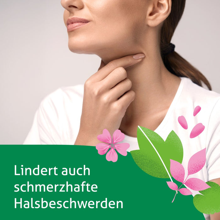 Phytohustil Hustenreizstiller Sirup, 150 ml Solution