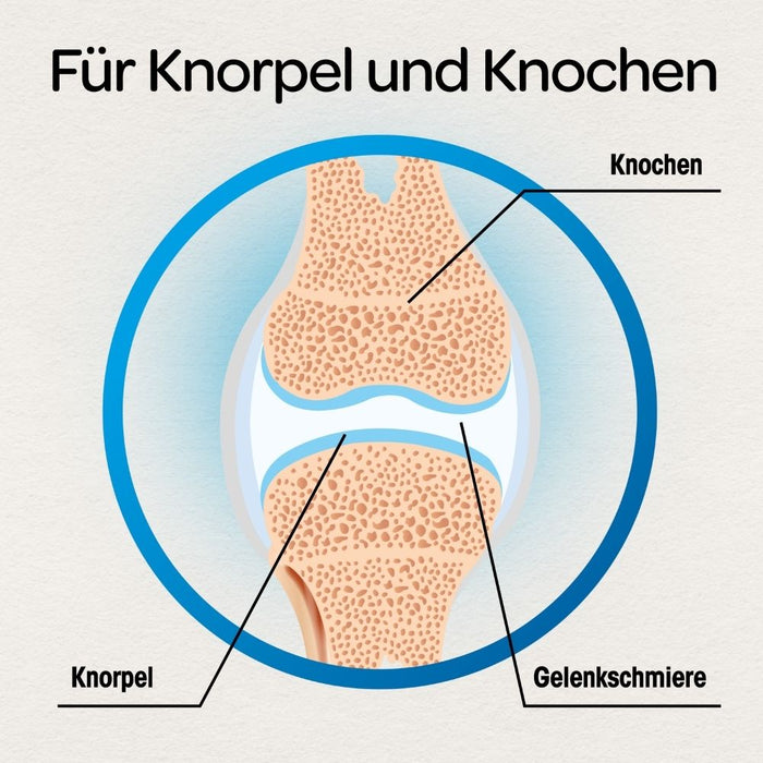 Dr. Böhm Knorpel & Knochen, 120 pc Tablettes