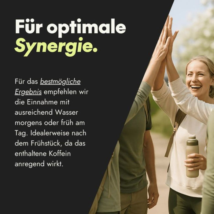 Serotalin Active Brain Performance Kapseln für Energie und Nervensystem, 60 pc Capsules