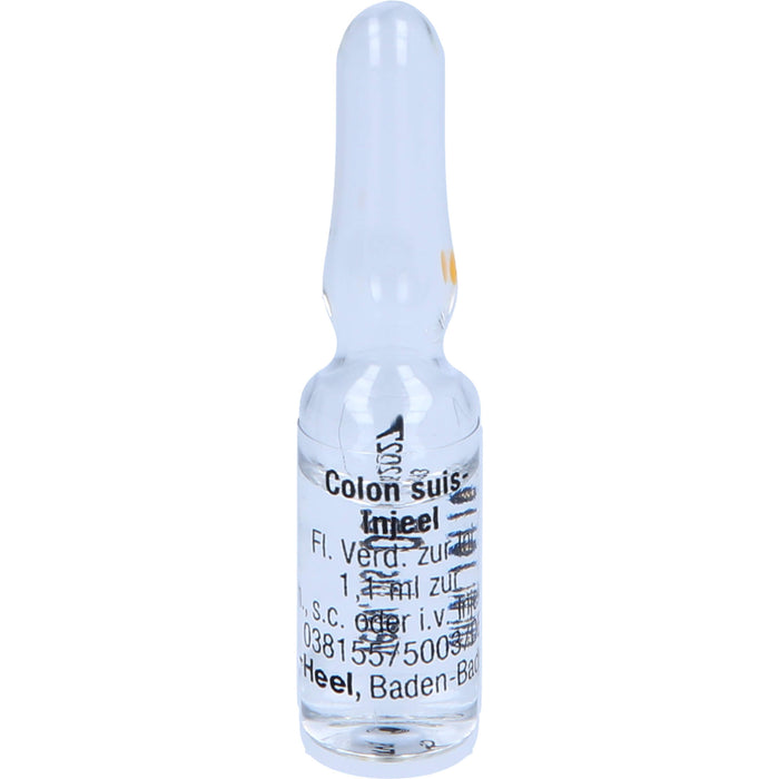 Colon suis-Injeel Inj.-Lsg., 10 pc Ampoules