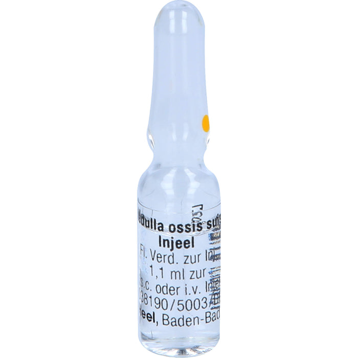Medulla ossis suis-Injeel Inj.-Lsg., 10 pcs. Ampoules